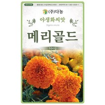 다-메리골드 100립 메리골드씨 메리골드종자 메리골드씨앗