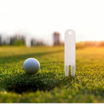 골프 디봇툴 그린포크 잔디보수기, 각인내용문자전달