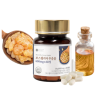 1plan 보스웰리아 추출물 600mg x 60정 HACCP 인증, 1개/60정/2개월분