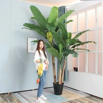 인조 조경 나무 바나나나무 야자수 1.8m 나무