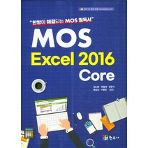 [mosxe] MOS Excel 2010 Expert, 기한재