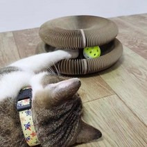 올매 캣토이 고양이 조립식 허브 스크래쳐 반려묘 집사 캣타워 마그네틱 자석 아코이언형, 대형