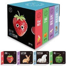 블루래빗 아기 인지책 세트 사진 보드북