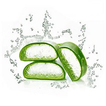 마타바 기능성첨가물_액상&분말, 기능성(액상)-06.알로에베라겔1L