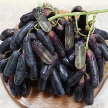달콤한 맛과 아삭한 식감 블랙사파이어포도 1kg 2kg 가지포도 핑거포도