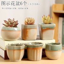 다육화분 다육이 심폴 화분 식물 미니 화분세트, 도자기, 옵션29