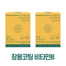 [2개월분] 영롱 판토쉴드 비타민B, 30정, 15g, 2개