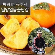 참다올 [참다올] 10.25부터 출고! 박희철농부의 GAP 밀양단감 특대과5kg(17-20과)