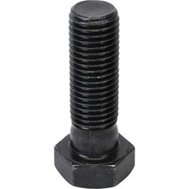 신진화스너 육각볼트(고장력) M36*210 (1EA), 1개