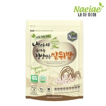 [내아이애] 유기농 아이과자 떡뻥 쌀과자 롱스틱 과일칩 과일링 요거트 모음(추가증정 이벤트), 1개, 유기농 정성빚은 쌀튀밥