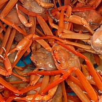 한손수산 동해안 자숙홍게2kg(5~7미내외수율70%이상), 단품