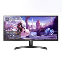 LG 울트라와이드 모니터 29인치 21:9 IPS WFHD