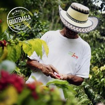 [맥널티 생두] 과테말라 키체 SHB (Washed), 5kg, 1개