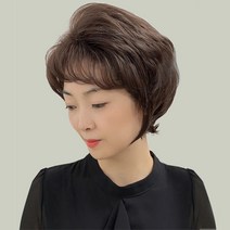 가발프랜즈 중년 여성 가발 엄마선물 인기가발 볼륨헤어, 1개, HP-22