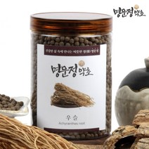 명문정약초 우슬환 우슬뿌리 우슬초 쇠무릎 환 국산, 300g x 1개