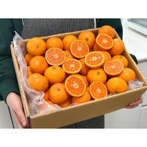 농가살리기 제주 카라향 로얄과 랜덤과 소과 1.5kg 2.5kg 4.5kg, 카라향 로얄과 4.5kg (22~45과 내외)