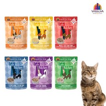 지앤원 웨루바 고양이 습식 파우치 85g x 12개, 캣츠인더키친 파우치_파우치 펌킨 잭 스플레쉬 x12개