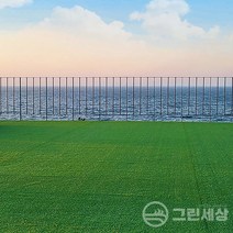 그린세상 인조잔디 인공매트 조경 실내 실외 베란다 테라스 옥상 시공 셀프인테리어, PX2800, 폭100cm x 길이50cm