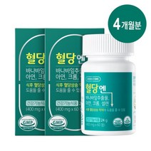 식후 혈당 상승 억제를 위한 그린스토어 혈당엔 2박스 120일분 4개월치 바나바잎 코로솔산 셀레늄, 400mg x 24g x 60정