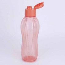 타파웨어 에코물통 스포츠 냉장고 물통, 1000ml, 레드