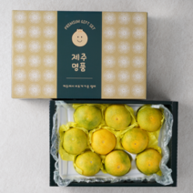 과일선물세트 제주 특산품 황금향 선물세트 명절 추석, 1박스, 2kg (5-12과 부직포가방 포함)