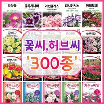 꽃씨 꽃씨몰 300종 허브씨 씨앗 다년생 노지월동 야생화 꽃씨앗 봄 제라늄 다알리아 작약, 212. 아마란스 2g