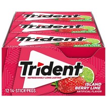 트라이던트 아일랜드 베리 라임 껌 14피스 12개입 미국 Trident Gum 맛이오래가는껌