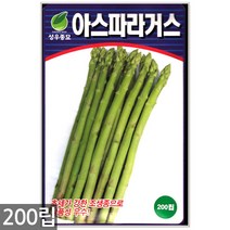 쌈배추 씨앗 1000립 - 배추씨앗 배추씨 쌈추 배추 채소씨앗 쌈채소씨앗 채소씨 씨, 07_아스파라거스(200립)