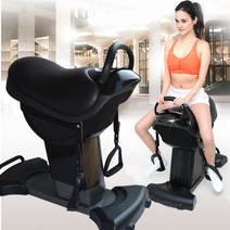 승마운동기구 홈트 진동 운동기 기구 승마기계 허리, 블랙
