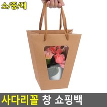 속보이는케이스 꽃집쇼핑 개업선물용 튼튼한손잡이끈 사다리꼴쇼핑백, 대