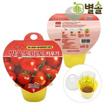 방울토마토 키우기 키트 4세트 초등학생 식물 관찰일지