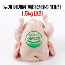노계닭 폐계 (생닭) 특대 2마리 - 마리당 1.5kg내외, 1.5kg, 2개
