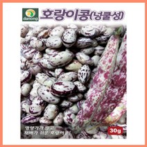 모두다팜 호랑이콩종자 호랑이강낭콩 호랑이콩 씨앗 종자 30g, 호랑이콩 씨앗 1개, 1개
