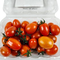 스테비아토마토 맛있는 토마토, 1box, 500g 1팩