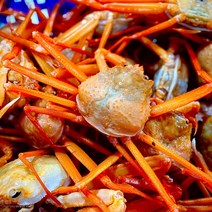 미미수산 포항 홍게의 자부심 연지홍게 1.5kg 3kg, 붉은대게 특품 1.5kg, 1개