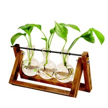 비바리움 키트 만들기 terrarium creative hydroponic plant, 28.5x16cm