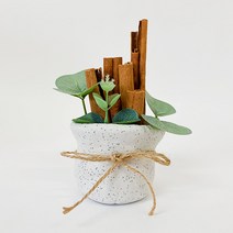 데코 찰흙 계피 화분 만들기 - 5인세트, 단품