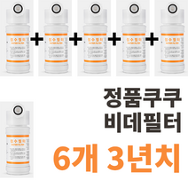 정품 쿠쿠비데필터 정품 진퉁 주황색라벨 6개 CBT-G1031W 등등, CBT-G1031W 6개