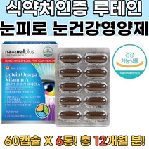루테인 루테인눈건강 눈침침한사람 비문증영양제 6통 비문증치료 눈이피로할때 지아잔틴 눈이뻑뻑 결막영양제 각막영양제 시력영양제 근시영양제 루테인복용법 눈시력좋아지는법 눈건강루테인 안과