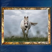 A274/액자/사진액자/풍경사진/말사진/말그림/벽걸이액자