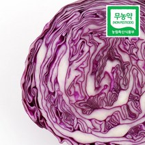 친환경 유기농 무농약 적채 적양배추 보라색 양배추 3kg 5kg, 적양배추 3kg