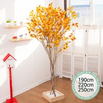 실내인테리어 인조나무 123종 / 플트 조화나무 C, C10.라인-단풍자작나무 220cmK/코너형, 1개