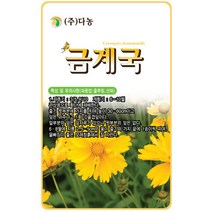 벌개미취 300립 - 야생화 씨앗 꽃씨 씨 꽃씨앗 벌개미취씨앗 벌개미취씨 다년생 여러해살이 야생화씨 야생화씨앗 꽃, 04_다농_금계국(200립)