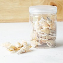 DIY 천연 조개 껍질 공예 재료 히바리움 액자 만들기, 1고동 새소라
