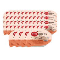 햇반 잡곡밥 매일잡곡밥 210g 48개