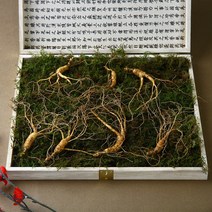 [진삼애] 강원도 산양삼 산삼 10년 산양삼산삼 선물세트, 9~10년근, 7뿌리