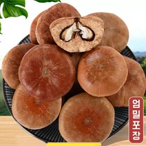소율국제 광서 특급 풍류과 건강식품 한방재료, 3봉, 100g