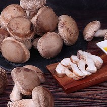 윤플러스 강원도 평창 하늘송이버섯 1kg, 특대품 1kg