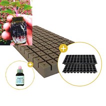 삽목용 오아시스104구+50구트레이 2장+발근력20ml+이름표사은품, 4셋트
