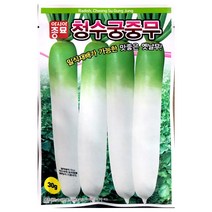 청수궁중무씨앗 30g 단무지용 무 씨앗